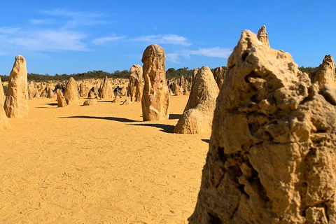 Pinnacles Desert (Private) Day Tour - Sydney 4u 0