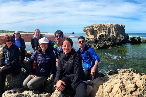 Pinnacles Desert (Private) Day Tour - Sydney 4u 4