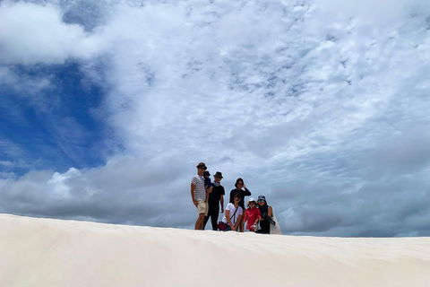 Pinnacles Desert (Private) Day Tour - Sydney 4u 5
