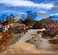 The Big Wave Rock Private Day Tour - Sydney 4u