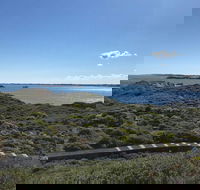 Penguin Island And Fremantle - Canoe Chocolate  Coffee - Sydney 4u