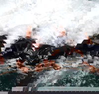 Cruise in Moreton Bay Marine Park and Moreton Island - Sydney 4u