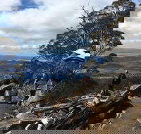 kunanyi / Mt Wellington Explorer Bus - 2 Hour Return Tour - Sydney 4u