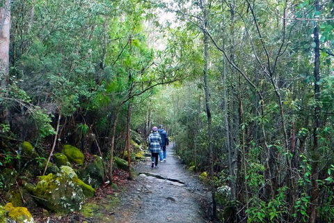 Kunanyi/Mt Wellington Tour & Hobart Hop-On Hop-Off Bus - Sydney 4u 1