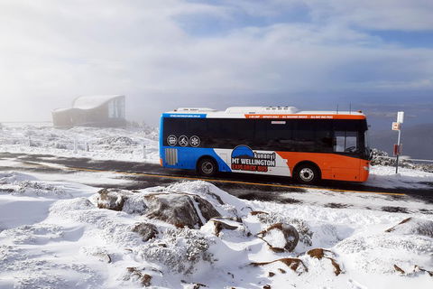 Kunanyi/Mt Wellington Tour & Hobart Hop-On Hop-Off Bus - Sydney 4u 2