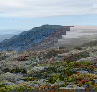 kunanyi/Mt Wellington Explorer Bus - One Way Tour - Sydney 4u