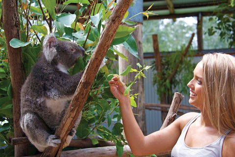 Private Guided Tour: Blue Mountains Tour From Sydney - Sydney 4u 5