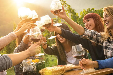 Mornington Peninsula Tour Inc Chairlift,beach Boxes,lunch,choc Tasting And More - Sydney 4u 3