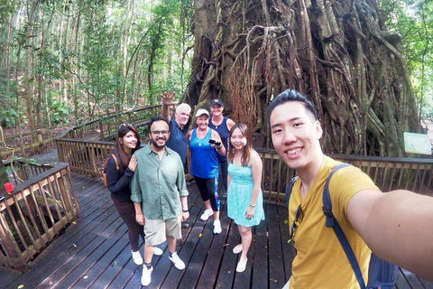Cairns 4WD Waterfall And Rainforest Tour Including Kuranda Scenic Railway - Accommodation Sydney 0