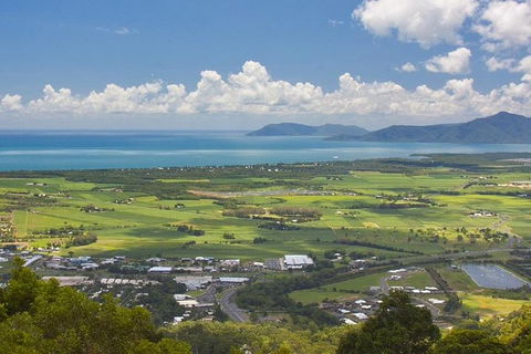 Cairns 4WD Waterfall And Rainforest Tour Including Kuranda Scenic Railway - Accommodation Sydney 5