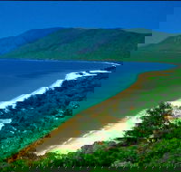 Cairns Reef and Rainforest Combo Daintree Rainforest and the Great Barrier Reef - Sydney 4u
