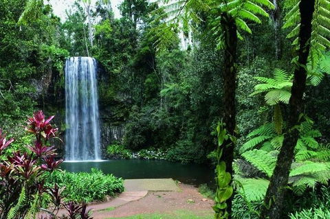 Paronella Park And Millaa Millaa Falls Full-day Tour From Cairns - Sydney 4u 3