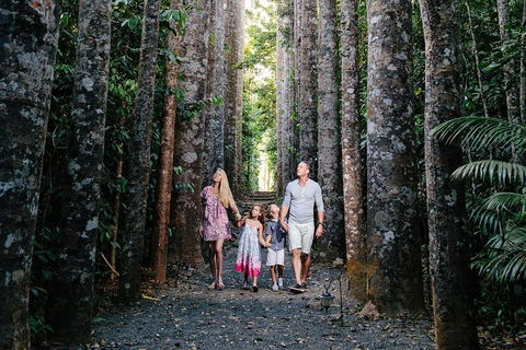Paronella Park And Millaa Millaa Falls Full-day Tour From Cairns - Sydney 4u 5
