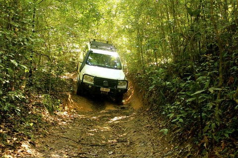 Barron Gorge And Kuranda National Park Half Day Rainforest And Waterfall 4WD Tour From Cairns - Sydney 4u 2