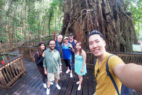 Barron Gorge And Kuranda National Park Half Day Rainforest And Waterfall 4WD Tour From Cairns - Sydney 4u 5