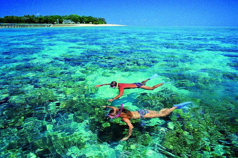 4-Day Cairns With Great Barrier Reef And Daintree Rainforest - Sydney Resort 2