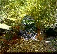 Cairns National Park Rainforest and Waterfall Small Group Tour Shore Excursion - Sydney 4u