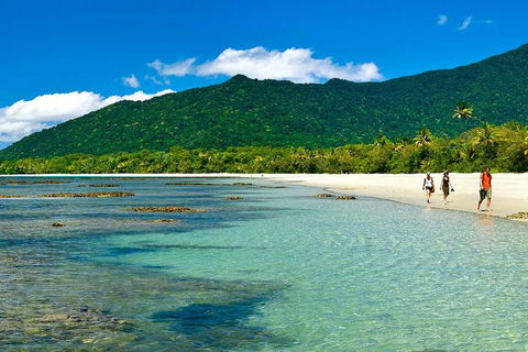 Private Daintree National Park Day Tour From Cairns Including Cape Tribulation And Mossman Gorge - Sydney 4u 0
