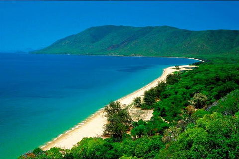 Private Daintree National Park Day Tour From Cairns Including Cape Tribulation And Mossman Gorge - Sydney 4u 1