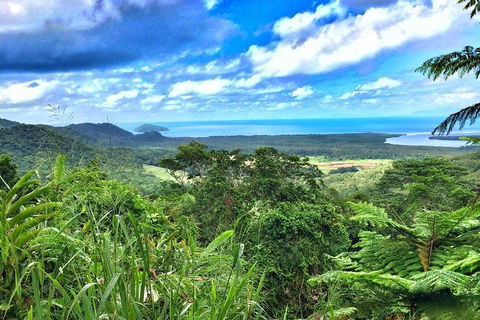 Private Daintree National Park Day Tour From Cairns Including Cape Tribulation And Mossman Gorge - Sydney 4u 2