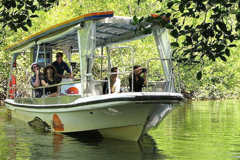 Private Daintree National Park Day Tour From Cairns Including Cape Tribulation And Mossman Gorge - Sydney 4u 5