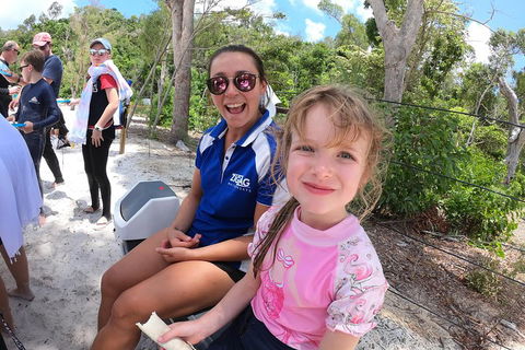 Whitehaven Beach Day Tour With Snorkel In Whitsundays Island - Accommodation Sydney 1