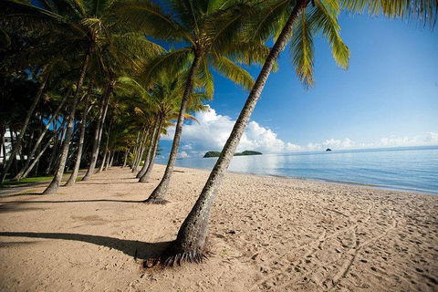 Kuranda Day Trip From Port Douglas Upgrade To Skyrail & Scenic Train Available - Sydney 4u 1