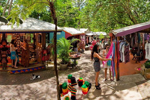 Kuranda Day Trip From Port Douglas Upgrade To Skyrail & Scenic Train Available - Sydney 4u 2