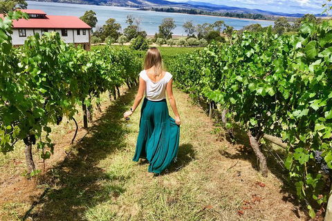 Tamar Valley Wine Tour With Lunch - Accommodation Sydney 2