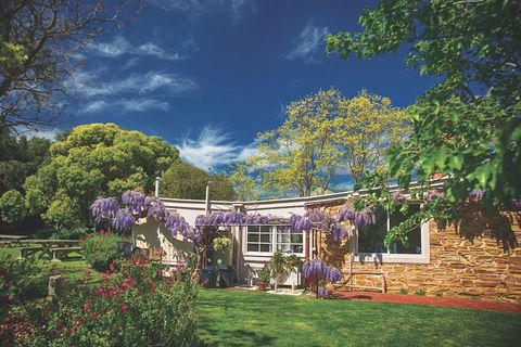 McLaren Vale Winery Small Group Tour With Wine Tasting And Lunch - Sydney 4u 2