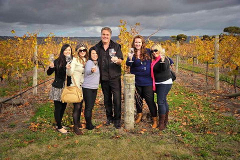 McLaren Vale Winery Small Group Tour With Wine Tasting And Lunch - Sydney 4u 3