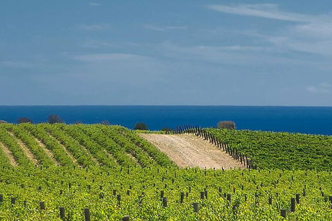 McLaren Vale Winery Small Group Tour With Wine Tasting And Lunch - Sydney 4u 4
