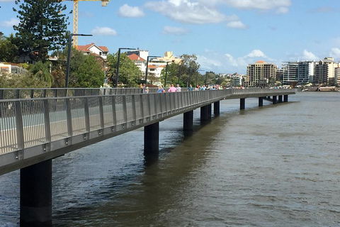 Brisbane City Highlights With Lone Pine! - Accommodation Sydney 1