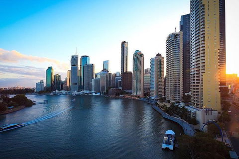 Brisbane City Highlights With Lone Pine! - Accommodation Sydney 3