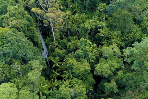 Natural Bridge, Skywalk And Mt Tamborine Adventure! - Sydney 4u 2