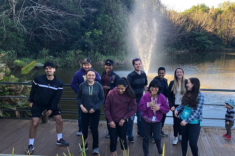 Natural Bridge, Skywalk And Mt Tamborine Adventure! - Sydney 4u 4