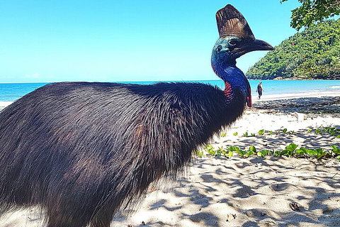 The Paronella Experience - Sydney Resort 0