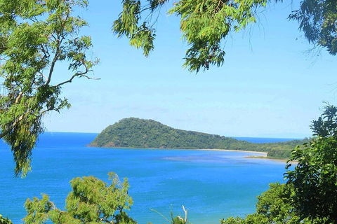 Full Day Tour In The Daintree - Sydney 4u 1
