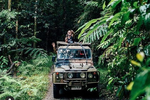 Full Day Tour In The Daintree - Sydney 4u 4