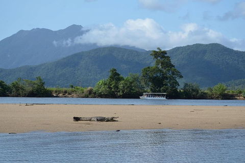 Afternoon Half-Day Daintree Rainforest And River Tour - Sydney 4u 2
