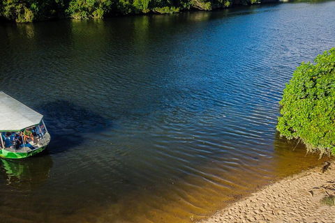 Afternoon Half-Day Daintree Rainforest And River Tour - Sydney 4u 3