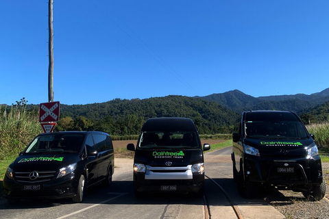 Afternoon Half-Day Daintree Rainforest And River Tour - Sydney 4u 4