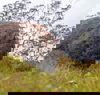 3-Day Cradle Mountain Photography Workshop - Sydney 4u