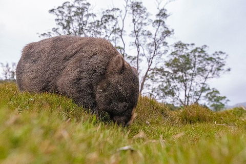 3-Day Cradle Mountain Photography Workshop - Sydney 4u 0