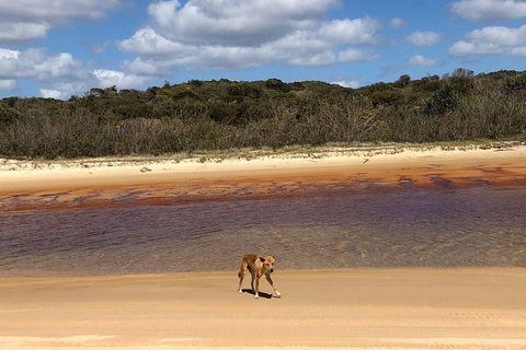 Pippies 3 Days 2 Nights Fraser Island Tour - Sydney Resort 2
