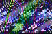 Infinity Attraction - Admission, Surfers Paradise