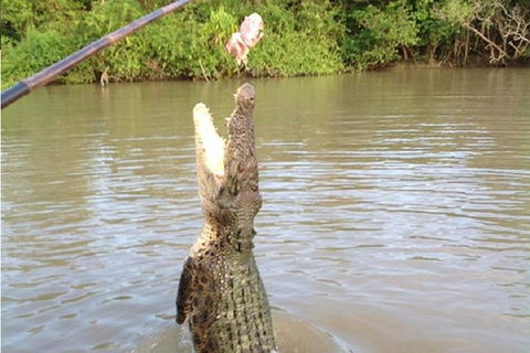 Litchfield National Park And Jumping Crocodile Cruise - Sydney 4u 2
