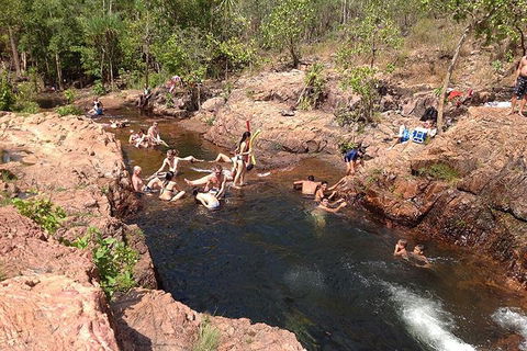 Litchfield National Park And Jumping Crocodile Cruise - Sydney 4u 5