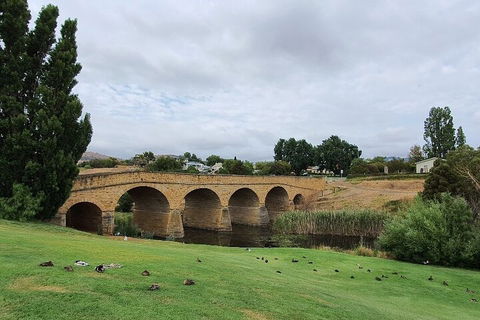 Port Arthur, Richmond And Tasman Peninsula Day Trip From Hobart - Sydney 4u 3