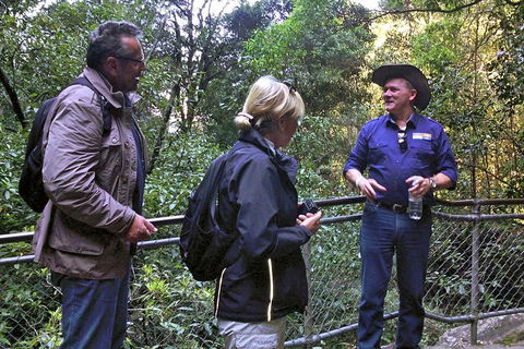 Private Blue Mountains Day Tour Including Wildlife Park - Accommodation Sydney 3